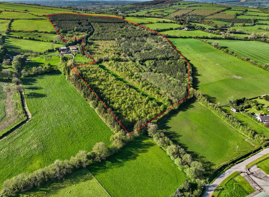 Carraigeen, Baltinglass photo