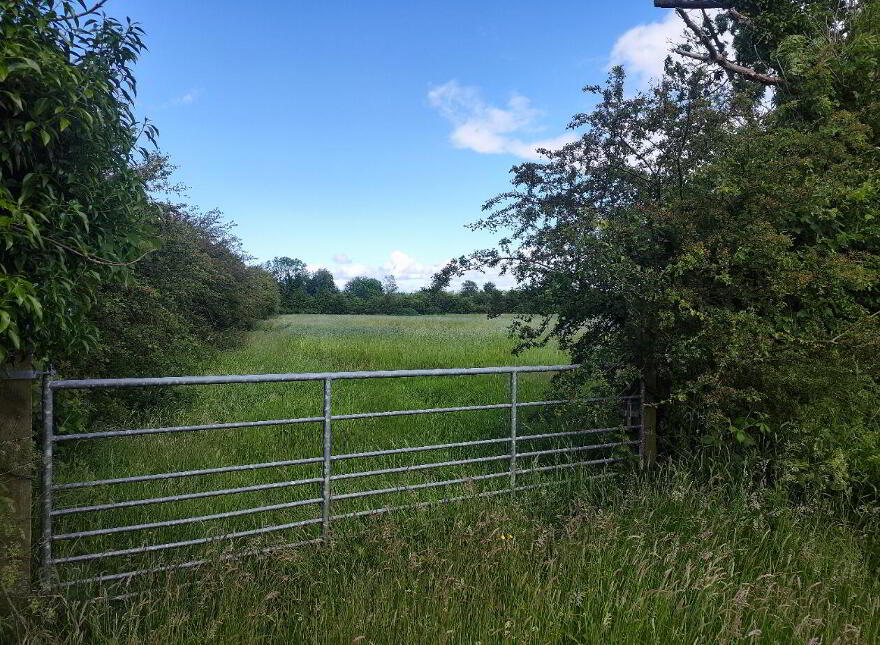 Land, And Shed At Newbridge Road, Coleraine, BT52 1TR