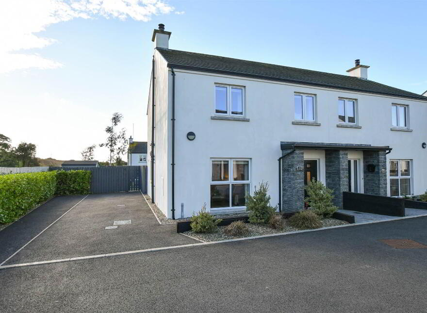 20 Saul Manor, Downpatrick, BT30 6FW photo