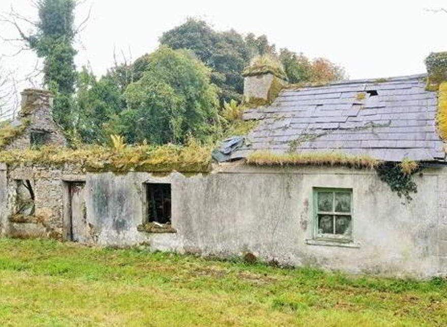 Treenduff, Bohola, Mayo photo