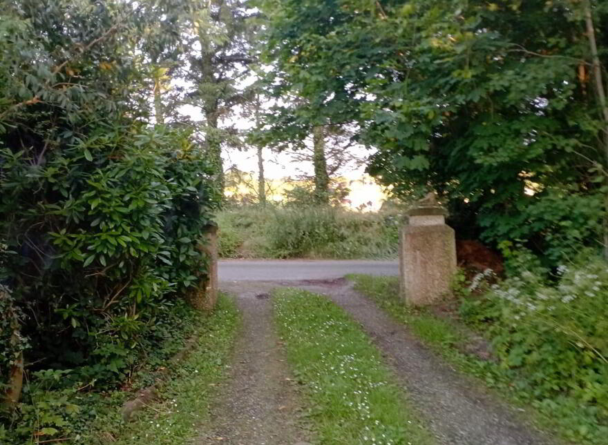The Forge, Butlerstown, X91X2C8