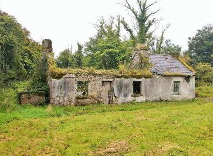 Treenduff, Bohola, Mayo photo