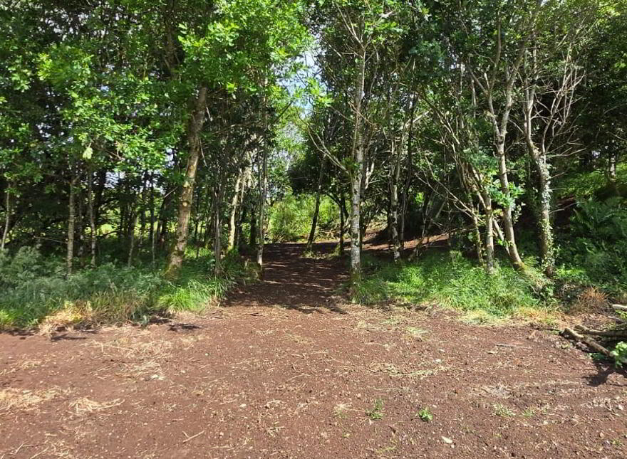 Building Site - Contemporary Bungalow And Garage, Altnaveragh Road, Fint...Omagh, BT78 2EP