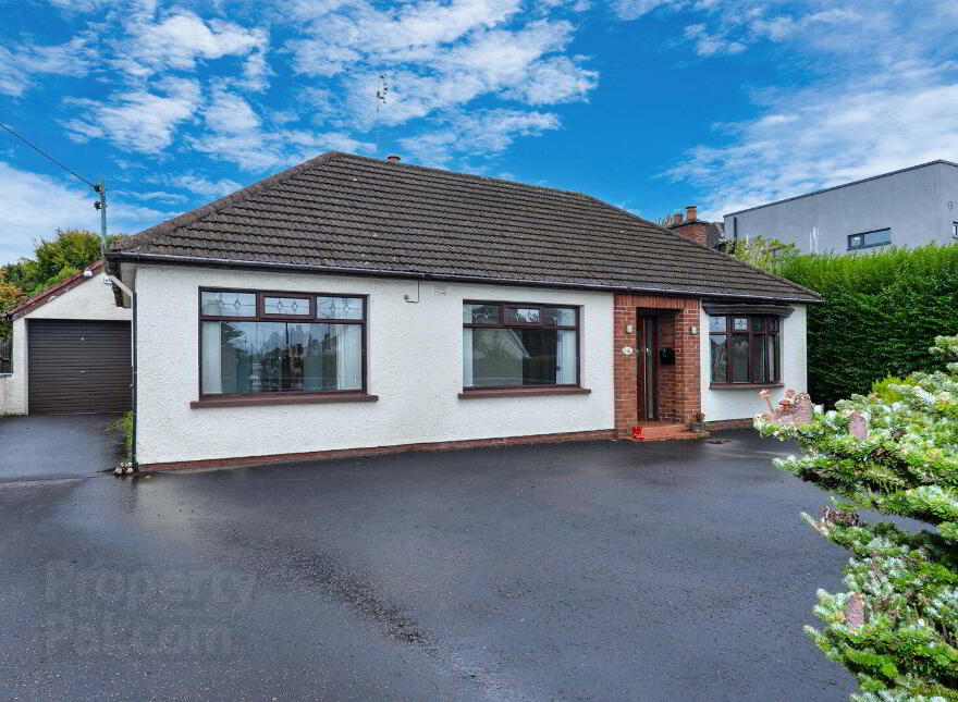 8 Abbeyhill Drive, Bangor, BT20 4DD photo