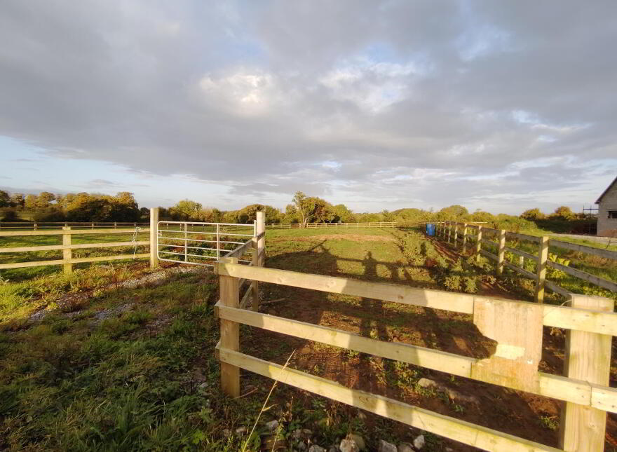 Mitchelstown, Ballysteen, Askeaton photo