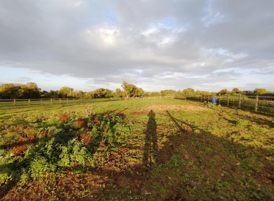 Mitchelstown, Ballysteen, Askeaton