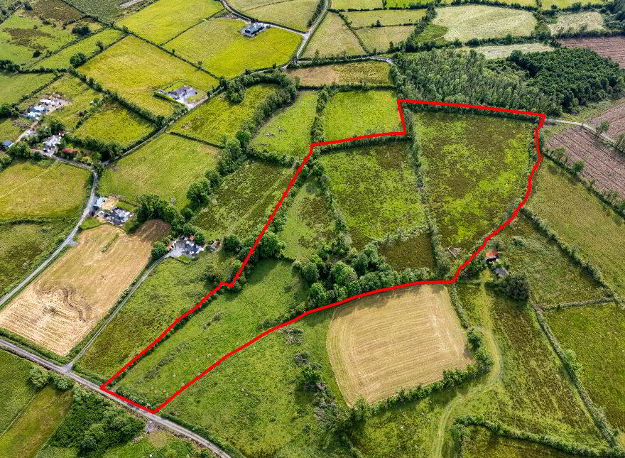 Clooneragh, Folio Rn13748f, Strokestown, XXXXXXX photo