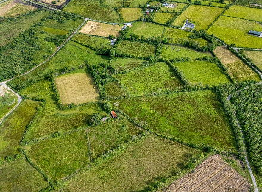 Clooneragh, Folio Rn13748f, Strokestown, XXXXXXX
