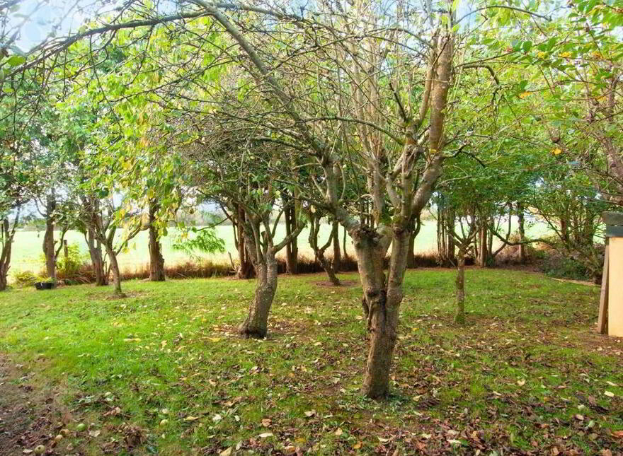 Sonas, Kilmichael, Ballygarrett, Gorey, Y25DH00
