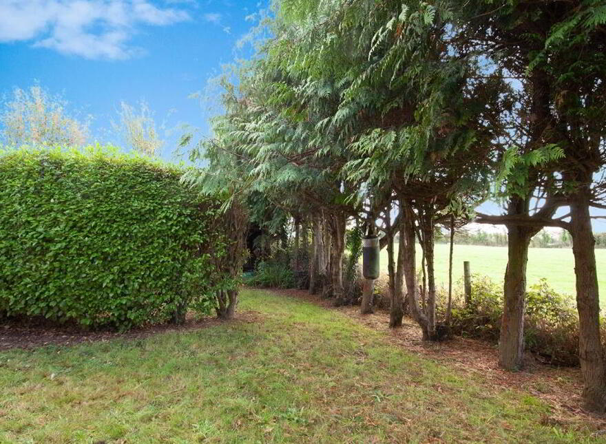 Sonas, Kilmichael, Ballygarrett, Gorey, Y25DH00