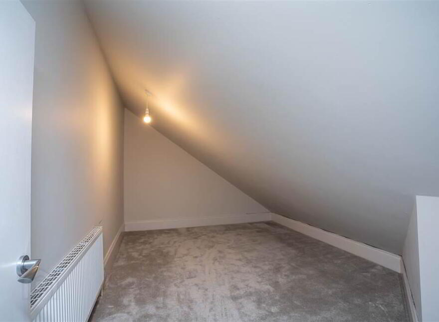 11 Montpelier Park, Malone Road, Belfast, BT9 5HP