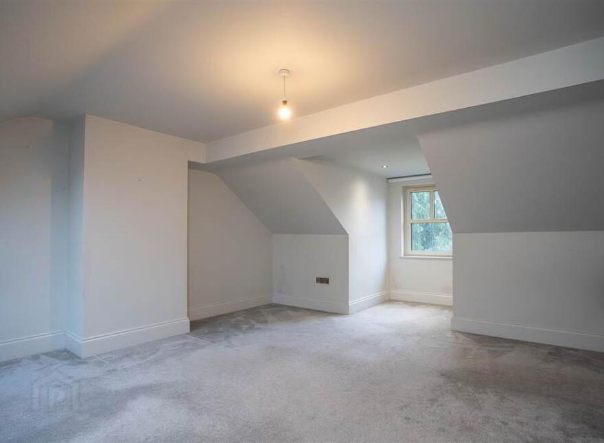 11 Montpelier Park, Malone Road, Belfast, BT9 5HP