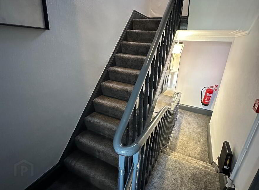 Room 5, 25 Colenso Parade, Belfast, BT9 5AN