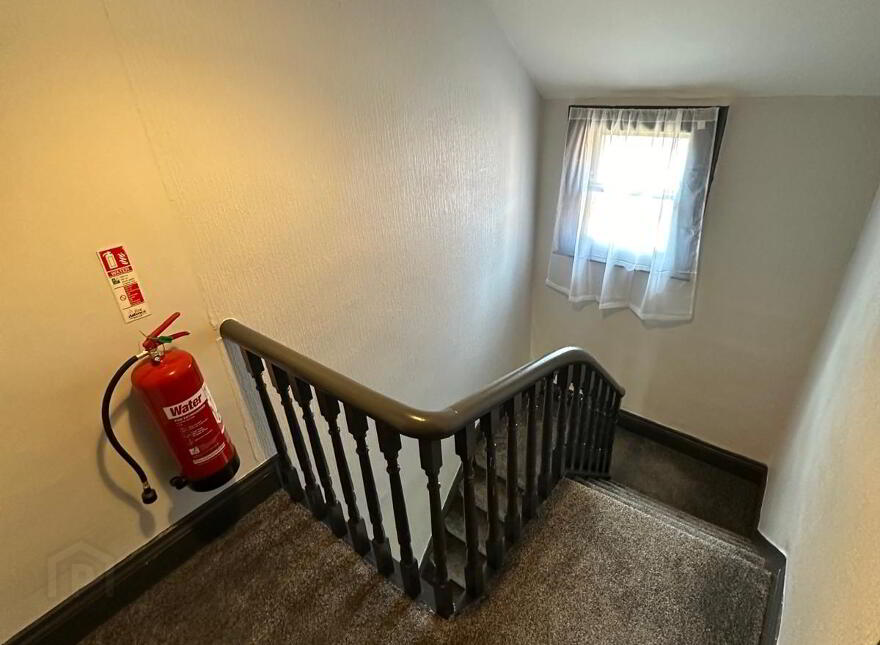 Room 5, 25 Colenso Parade, Belfast, BT9 5AN