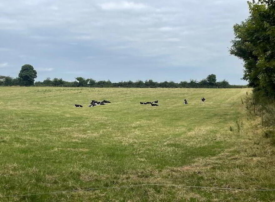 Agricultural Land @ Old Coach Road, Dunleer
