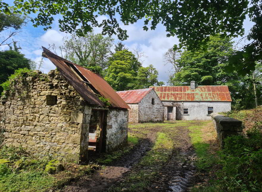 Kilnamaddyroe, Ballinamore, N41YX94 photo