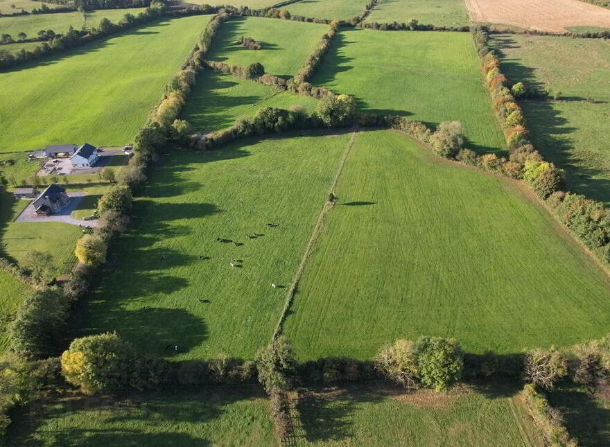 Clononeen, Borris-In-Ossory photo