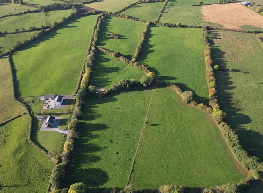 Clononeen, Borris-In-Ossory