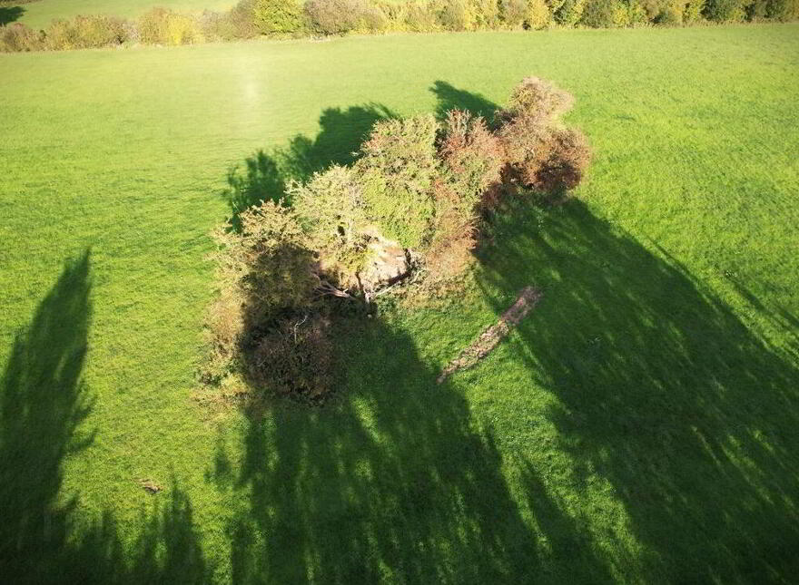 Clononeen, Borris-In-Ossory