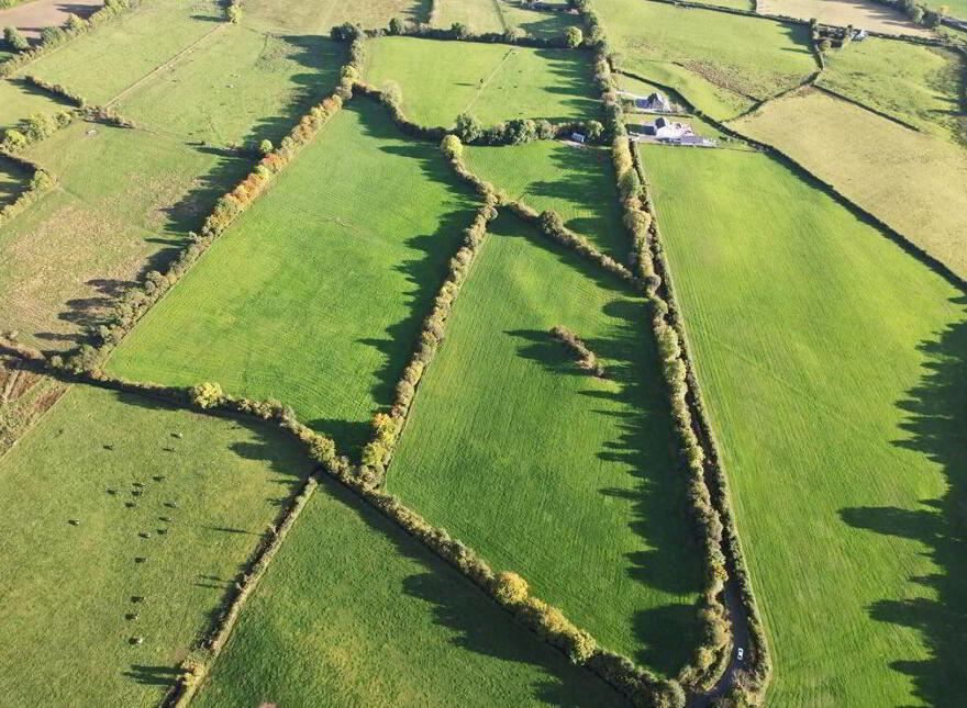 Clononeen, Borris-In-Ossory