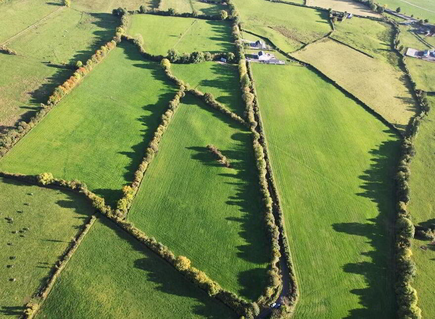 Clononeen, Borris-In-Ossory