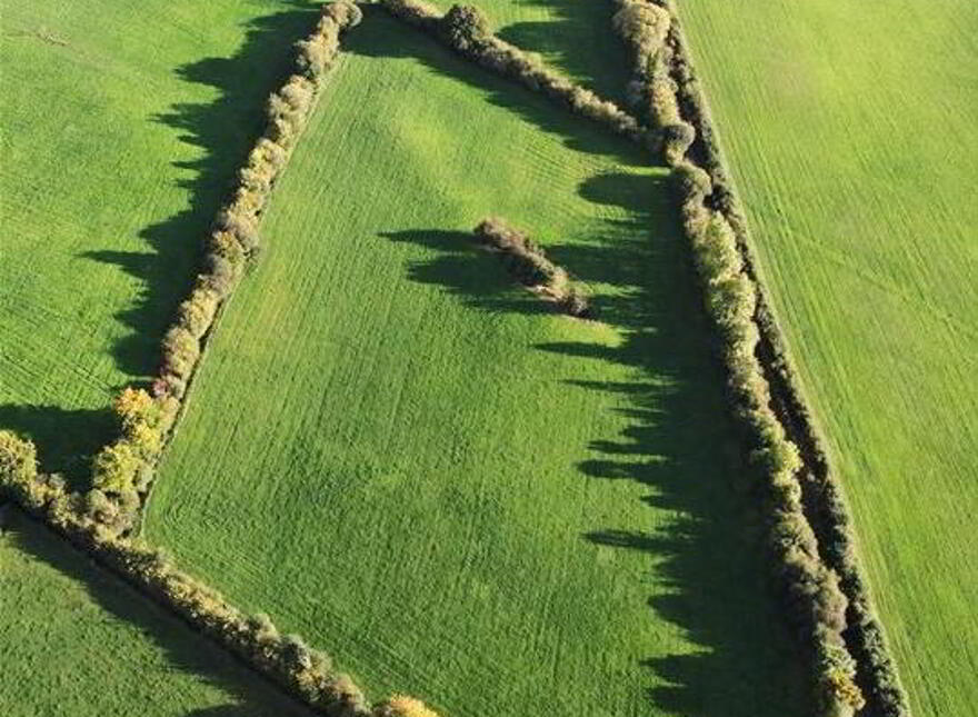 Clononeen, Borris-In-Ossory