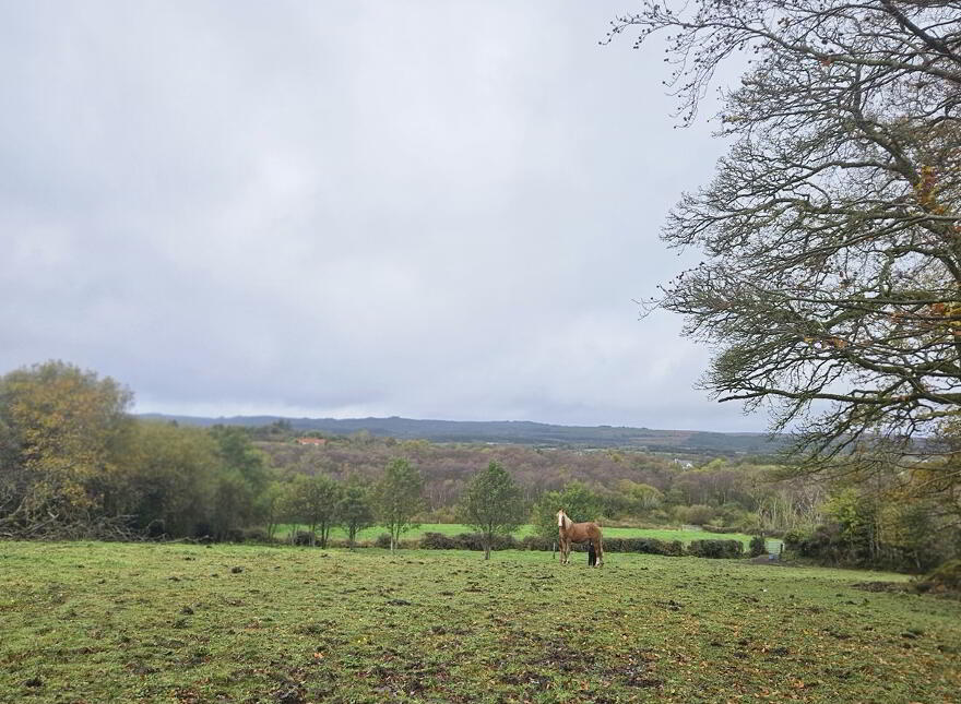 0 Derryarrit, Scotstown