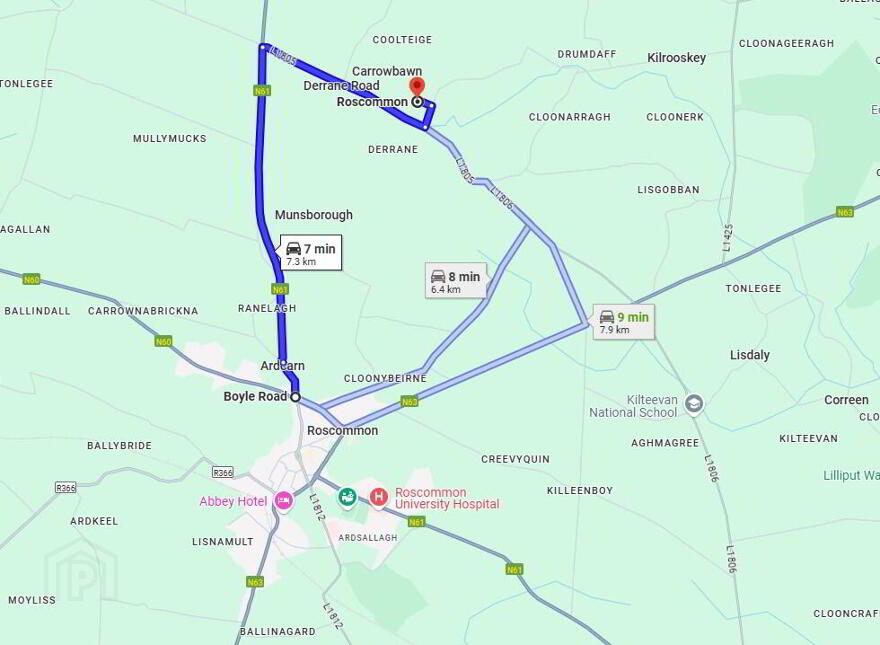 Hollywell, Derrane, Roscommon Town
