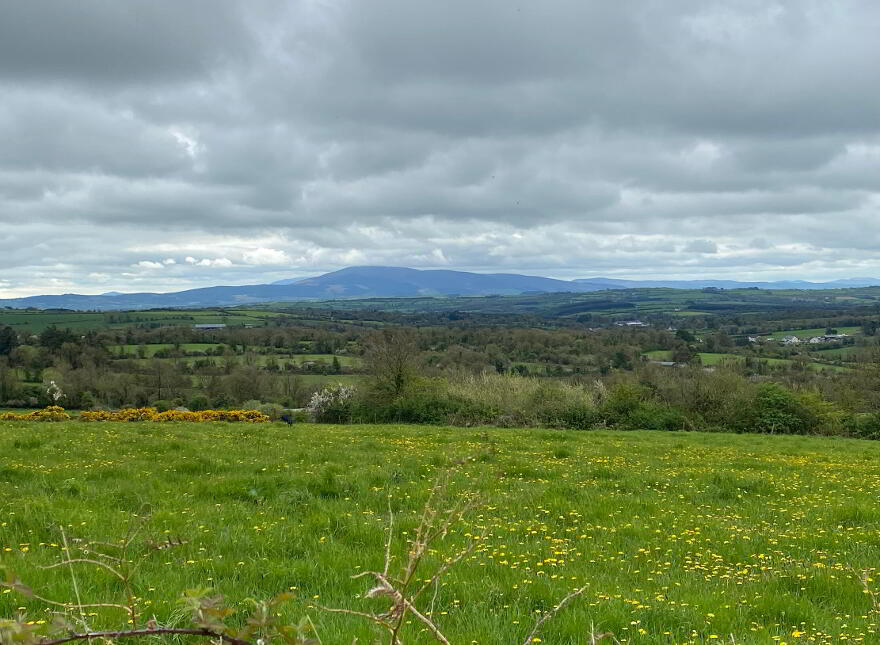 Boulea, The Commons, Ballingarry
