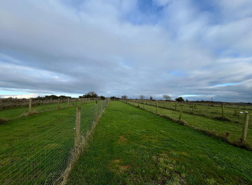 Boulea, The Commons, Ballingarry