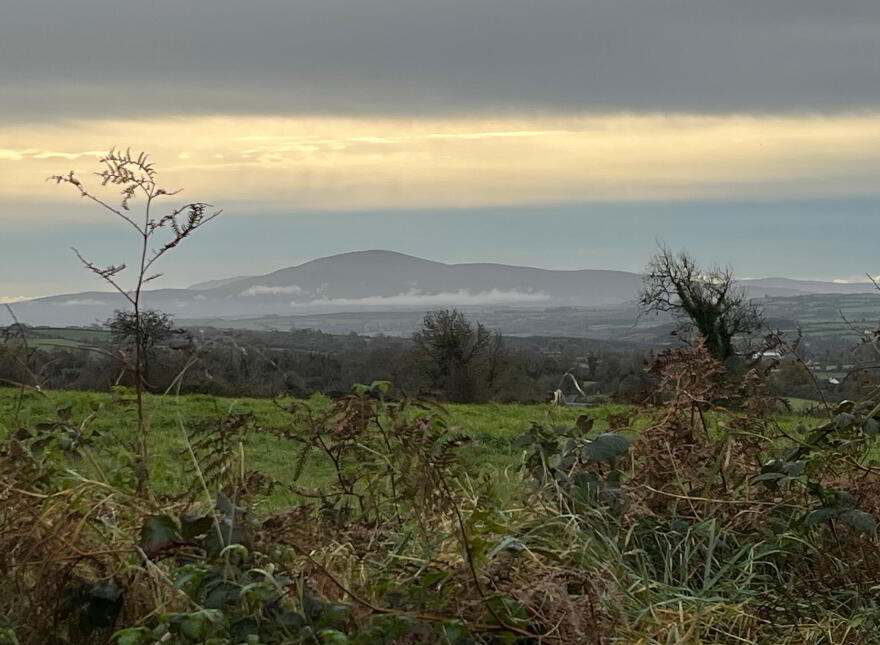 Boulea, The Commons, Ballingarry