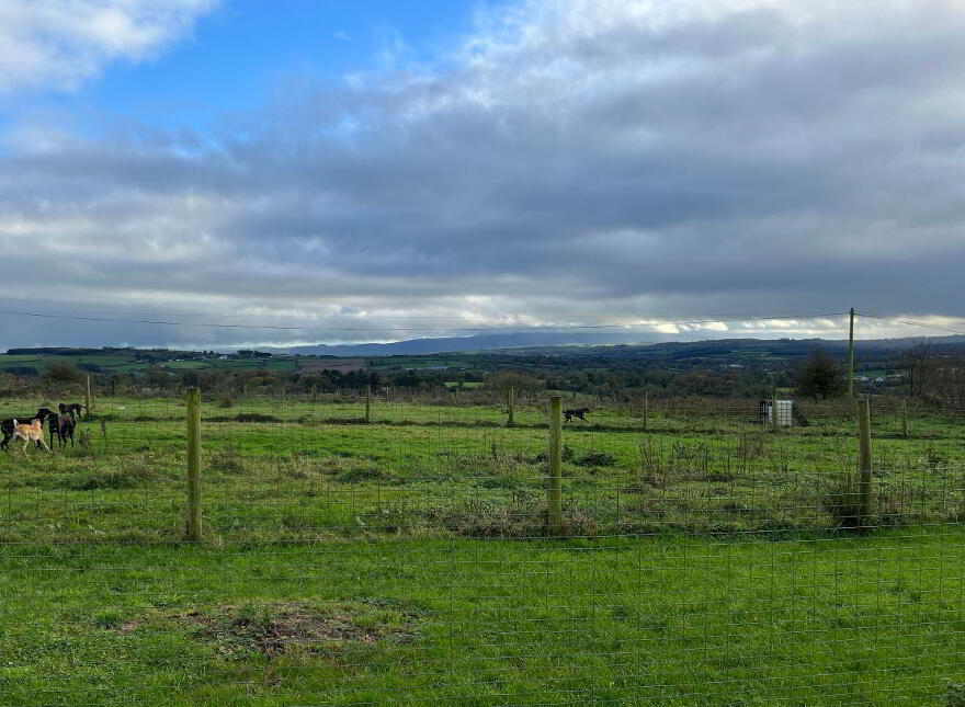Boulea, The Commons, Ballingarry