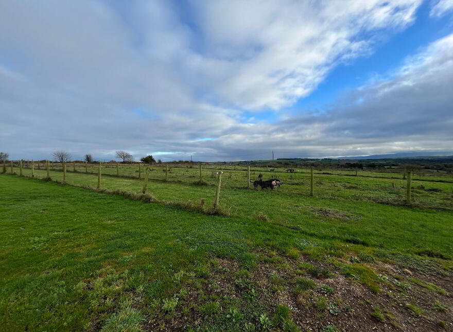 Boulea, The Commons, Ballingarry