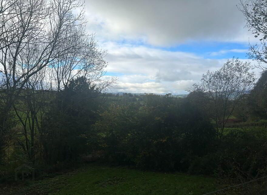 Bluebell House And Annie's Cottage, 39 & 41 Springhill Road, Money...Magherafelt, BT45 7NH