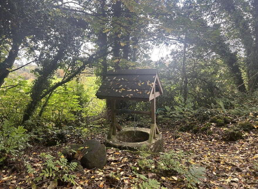 Bluebell House & Annies Cottage, 39-41 Springhill Road, Moneymore, BT45 7NH
