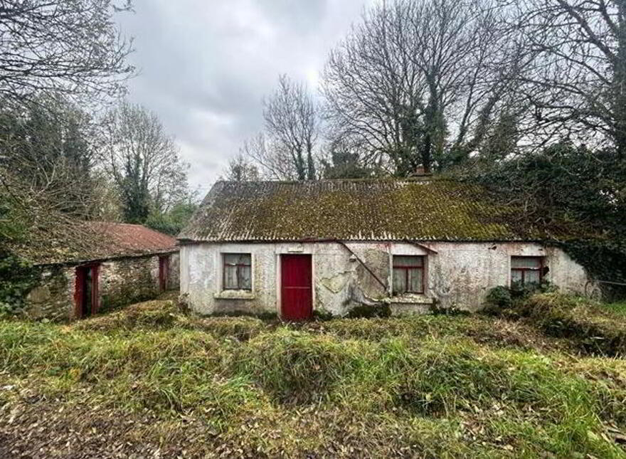 Clooncarha, Kilmovee, Mayo, F45TW98 photo