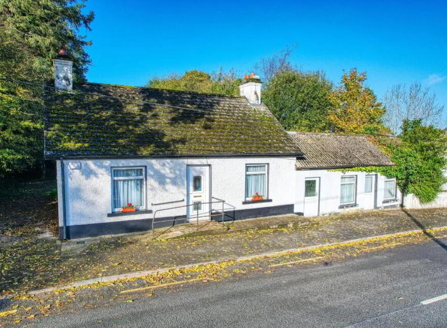 The Village, Ballinalee, N39TK40 photo