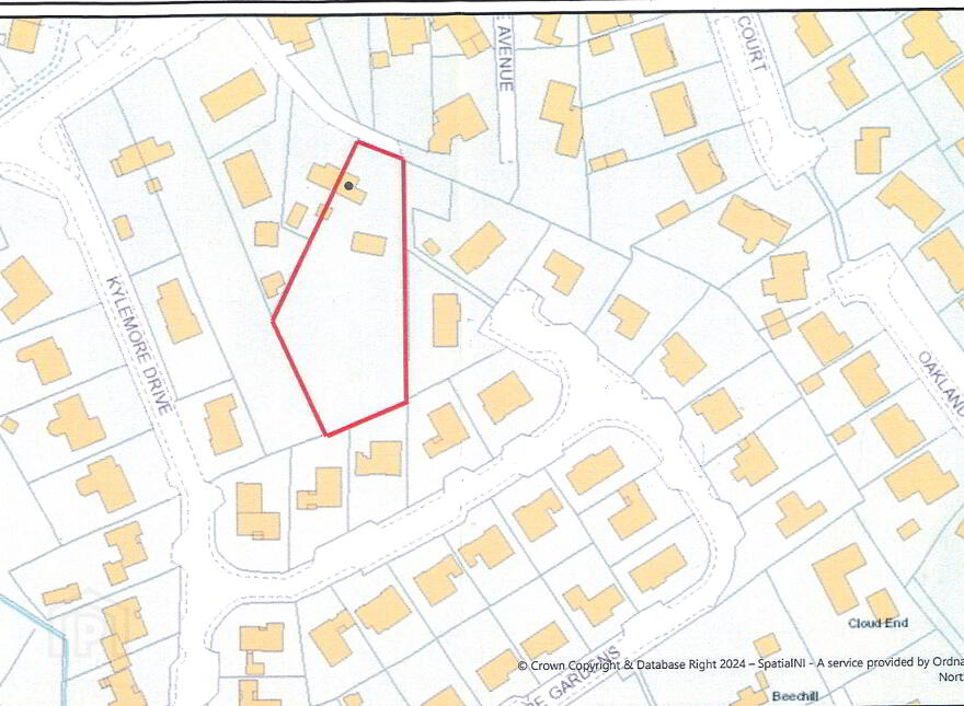 43 Old Mountfield Road, Omagh, BT79 7ES