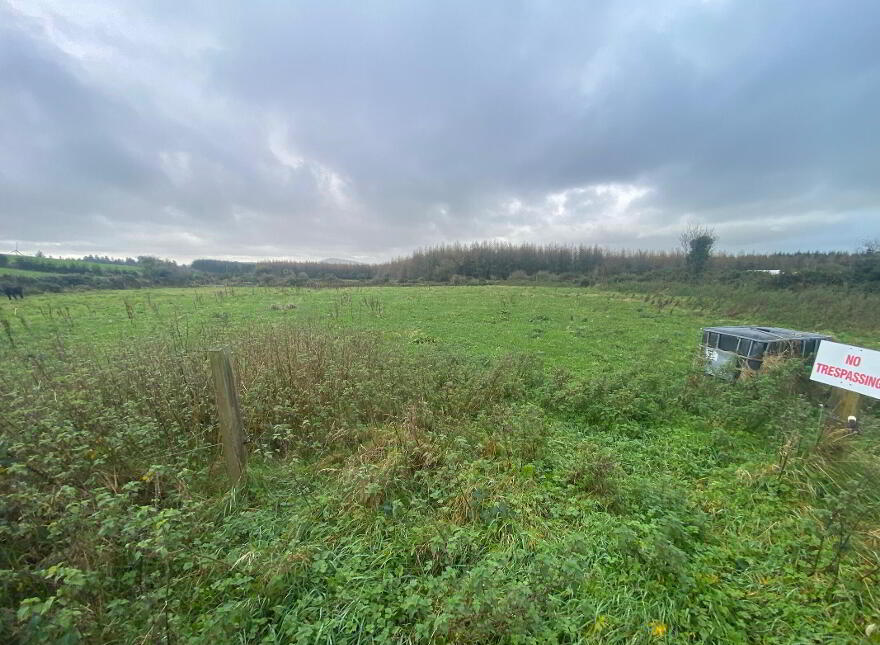 Derrylackey, Mullinavat