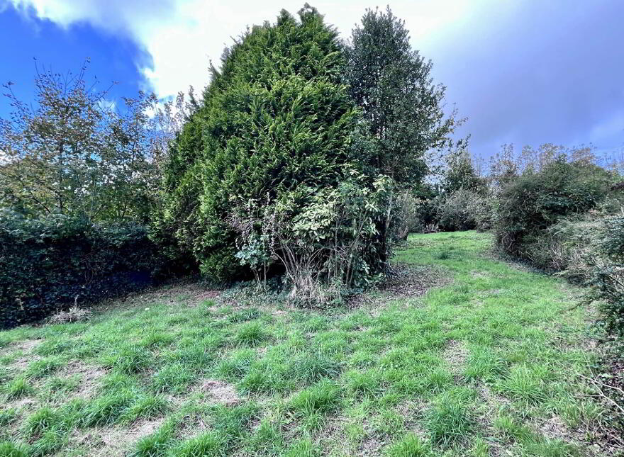 Mill Street, Timoleague, P72KN77