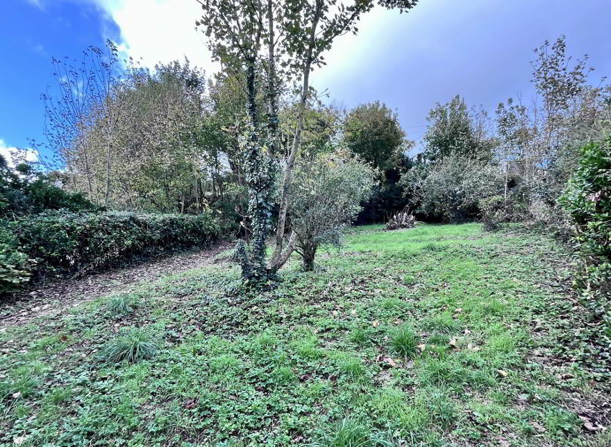 Mill Street, Timoleague, P72KN77