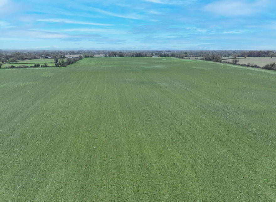 Meadstown & Moymet, Dunderry