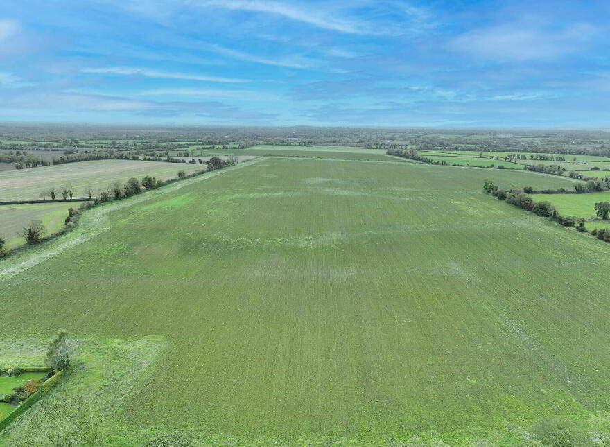 Meadstown & Moymet, Dunderry
