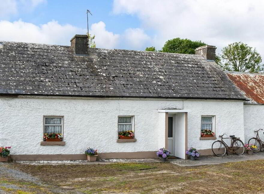 Lisnamucklagh, Dysart, Athlone, H53V563 photo