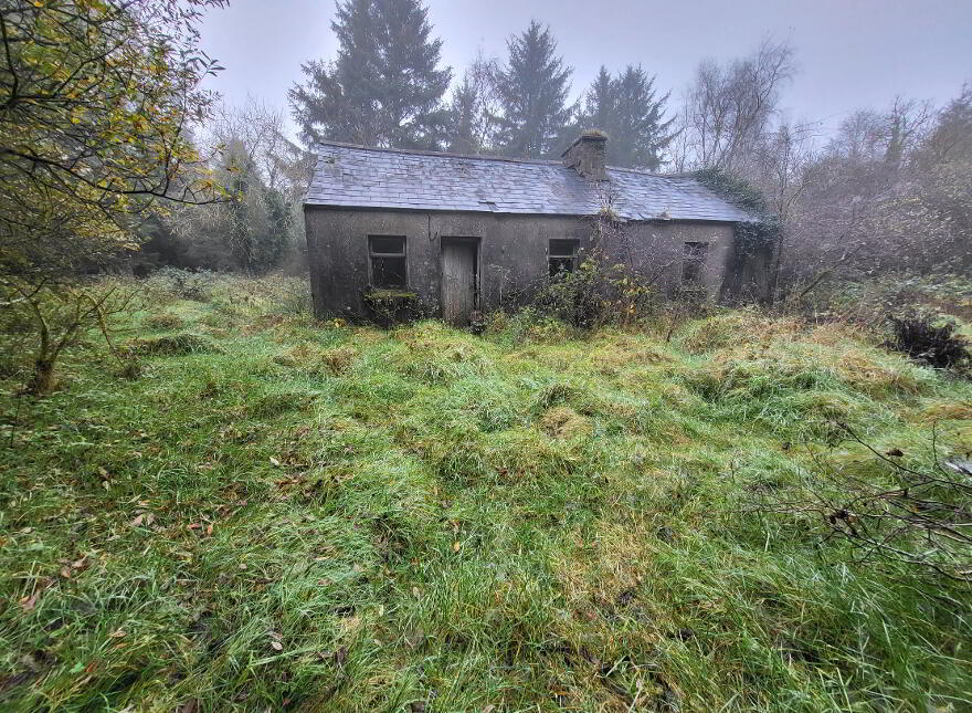 Forestry & Cottage, Cloonarara, Lavagh photo