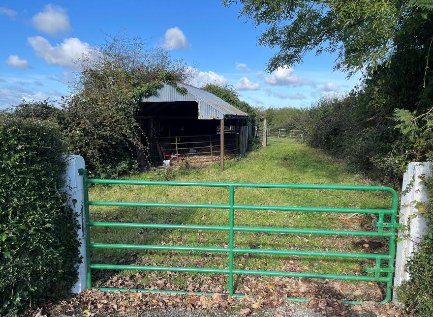 Reaghstown, Ardee photo