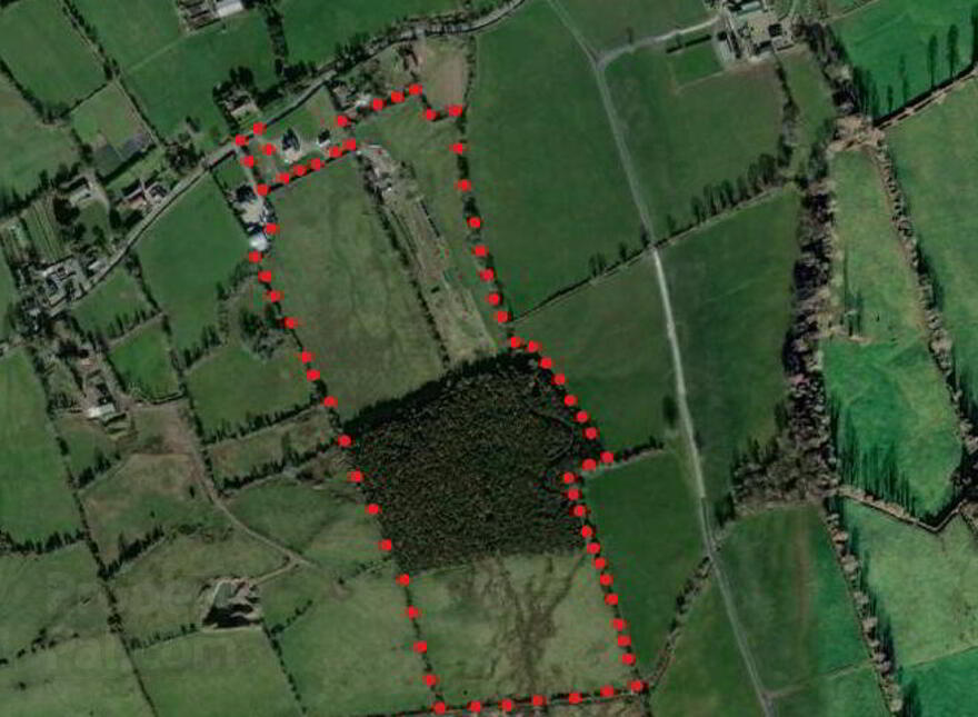 C.29 Acres Land & Forestry, Ballynamrossah photo