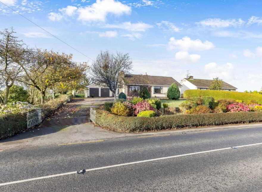 Tanderageebane, Monaghan Town, H18Y194 photo