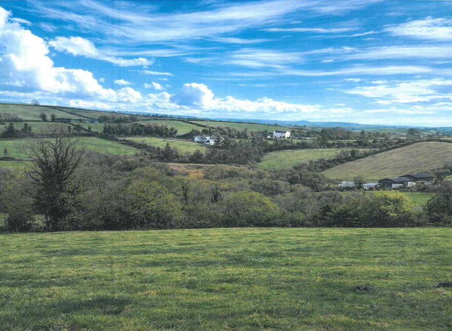 14.7 Acres Of Land, Buckshead Road, Loughinisland