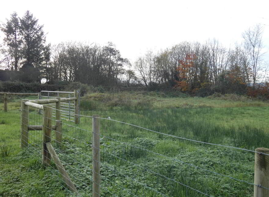 Opp, 20 Taughey Road, Ballymoney, BT53 6RA